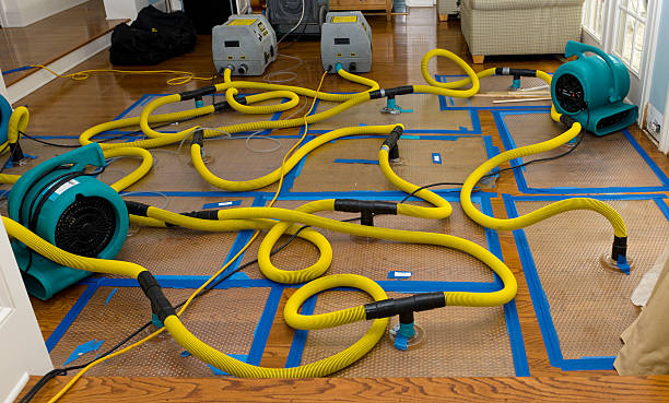 Professional Storm Water Damage Restoration technician working in Germantown, OH